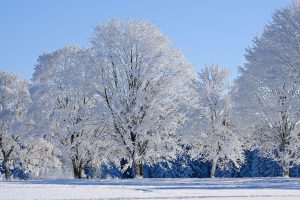 Découvrez 11 façons de savourer l’hiver à Lanaudière