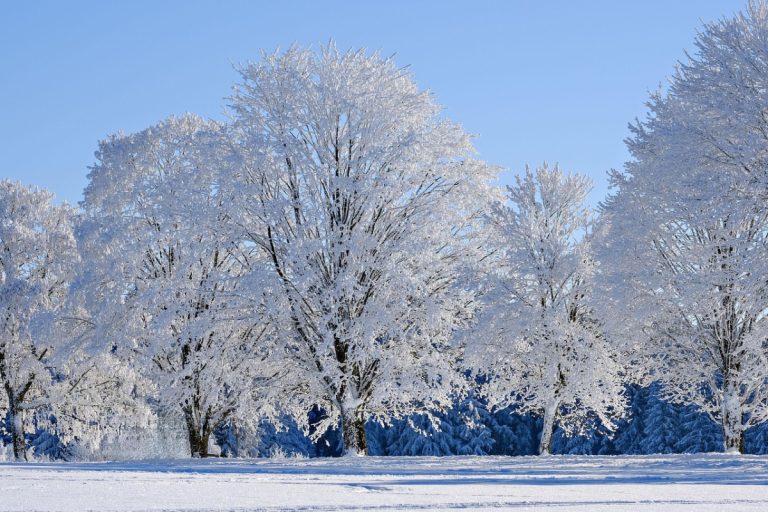 Découvrez 11 façons de savourer l’hiver à Lanaudière