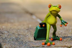 découvrez nos conseils, astuces et inspirations pour organiser vos voyages et explorer des destinations uniques à travers le monde. trouvez toutes les informations essentielles pour votre prochaine aventure.