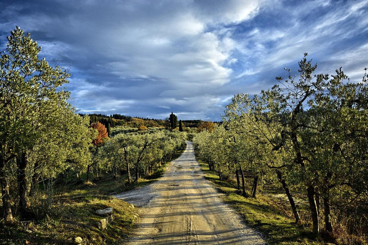 découvrez la via francigena, un itinéraire historique de pèlerinage reliant l’angleterre à rome à travers paysages pittoresques, villages authentiques et patrimoines culturels européens. préparez votre voyage sur ce chemin légendaire !