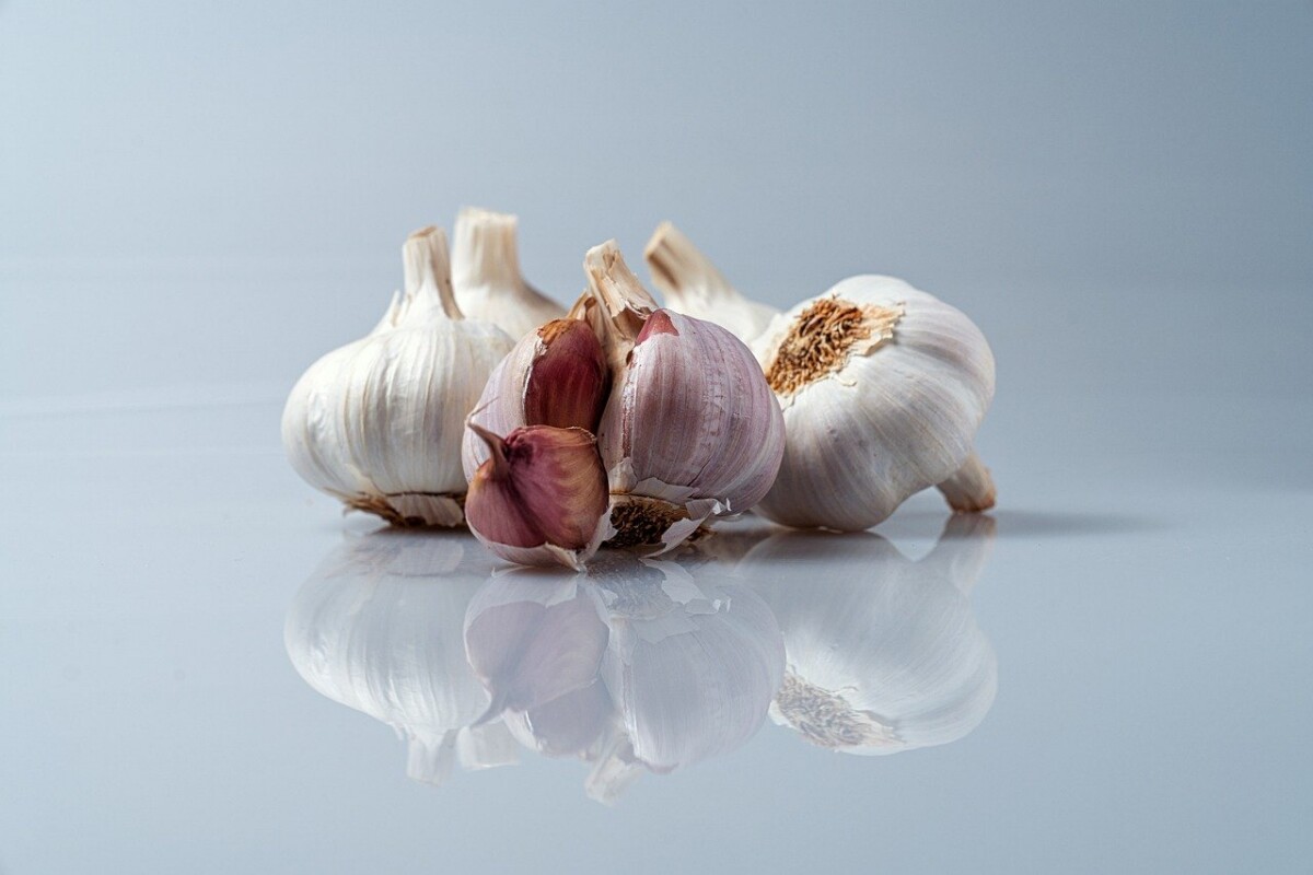 partez à la découverte de saveurs inédites et d'expériences gourmandes uniques à travers des aventures culinaires passionnantes, pour éveiller vos papilles et explorer le monde de la cuisine.
