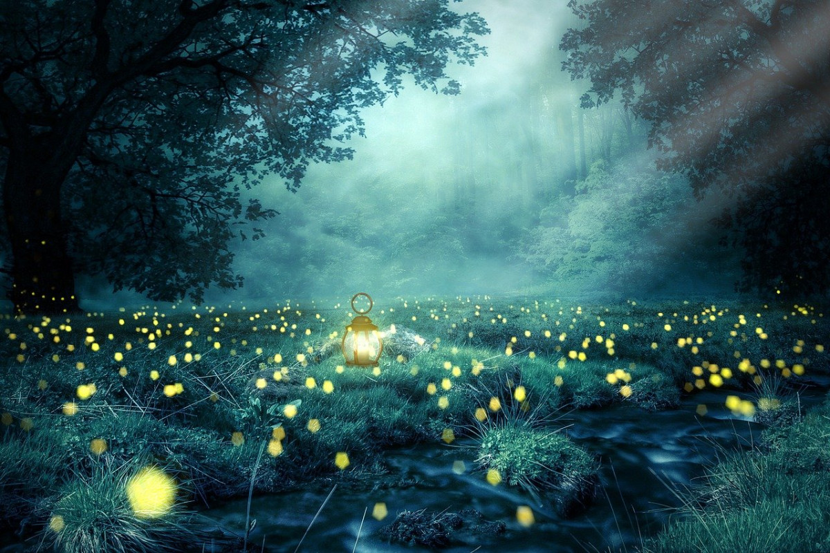 découvrez des lieux enchantés où la magie opère, entre paysages féeriques, sites mystérieux et destinations qui font rêver. laissez-vous transporter dans un univers hors du commun.