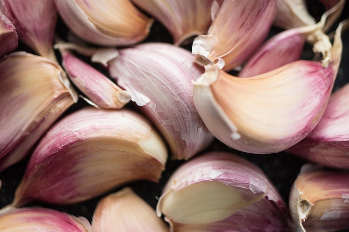 découvrez une sélection unique de saveurs du monde entier : explorez des recettes, ingrédients et traditions culinaires pour un voyage gourmand sans quitter votre cuisine.