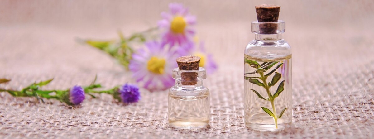 découvrez la liste des indispensables pour une randonnée réussie : équipements, conseils pratiques et astuces pour partir en toute sécurité et profiter pleinement de la nature.