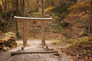 Voyage au Japon : À la découverte des mangas et des traditions captivantes