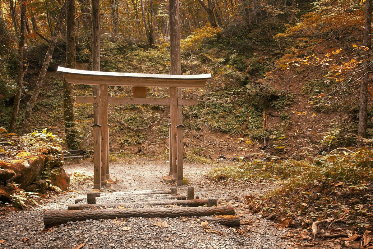 Voyage au Japon : À la découverte des mangas et des traditions captivantes