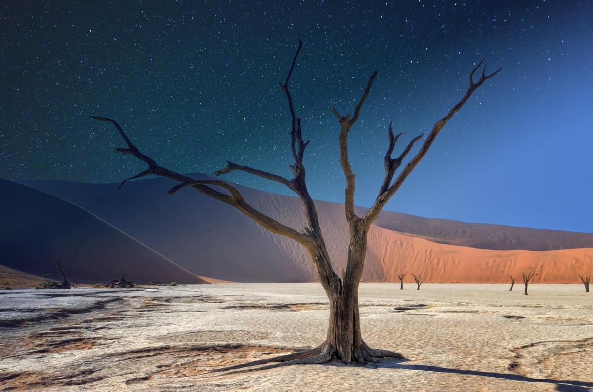 découvrez la namibie, un pays d’afrique australe réputé pour ses paysages spectaculaires, ses safaris inoubliables, le désert du namib et sa faune exceptionnelle. partez à l'aventure au cœur d'une nature préservée !