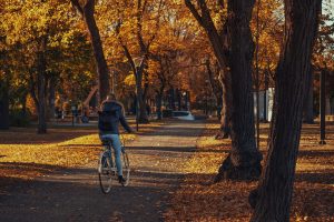 Découvrez les 13 activités en plein air incontournables à Risoul