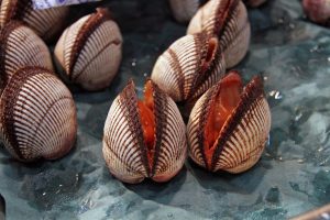 découvrez tokyo market : un marché dynamique proposant des produits japonais authentiques, des saveurs uniques et une expérience immersive au cœur du japon. idéal pour les amateurs de cuisine et de culture nippone !