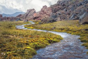 découvrez nos conseils, astuces et guides pour préparer votre prochain voyage. inspirez-vous pour explorer de nouvelles destinations et vivez des aventures inoubliables autour du monde.