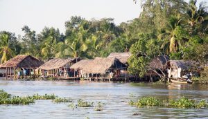 découvrez le venezuela : sa richesse culturelle, ses paysages époustouflants, de l’amazonie aux plages des caraïbes, ainsi que son histoire fascinante et sa gastronomie unique.