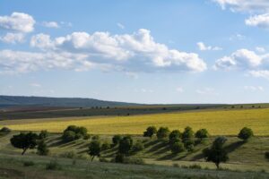 Découvrez Dobrogea : un court métrage primé à Barcelone qui met en lumière la gastronomie mondiale