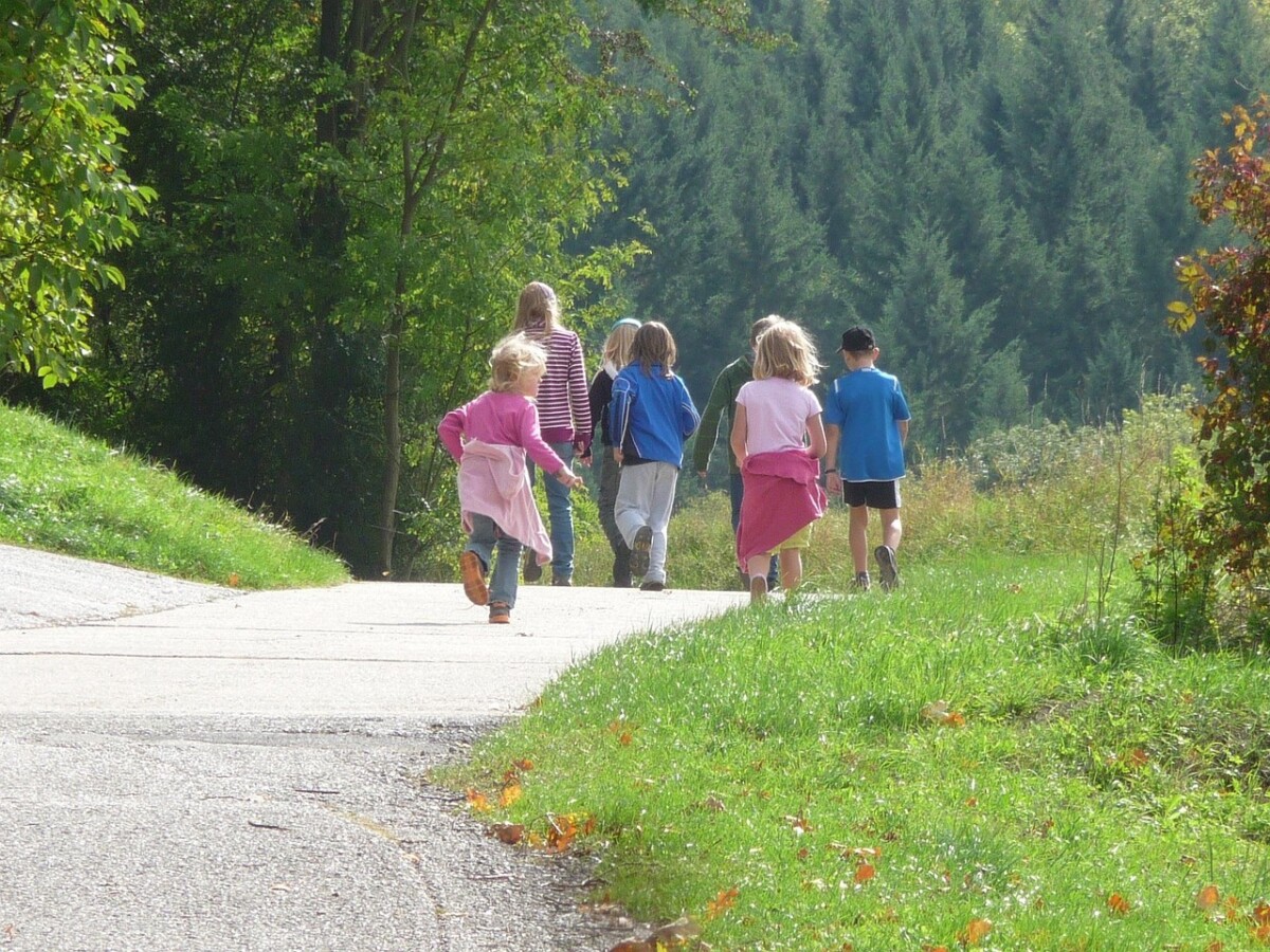 découvrez des idées de sorties en famille pour partager des moments inoubliables, renforcer vos liens et vivre des aventures adaptées à tous les âges. trouvez l'activité parfaite pour chaque membre de la famille !
