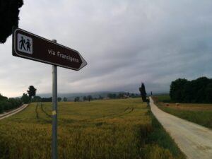 découvrez la francigena, un ancien chemin de pèlerinage reliant canterbury à rome. informations pratiques, étapes, conseils et histoire pour préparer votre aventure sur la via francigena.
