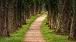 Explorez les sentiers du Parc Naturel Régional des Landes de Gascogne : Votre guide ultime pour des randonnées inoubliables sur Outdoor Active