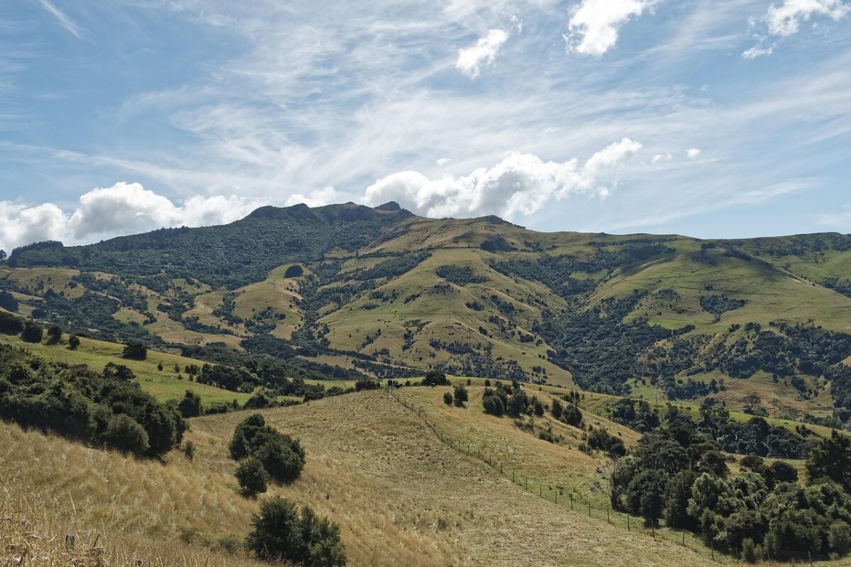 découvrez la péninsule de kii, une région japonaise authentique connue pour ses sites naturels spectaculaires, ses sentiers de pèlerinage historiques et ses villages traditionnels, idéale pour les amoureux de la nature et de la culture.