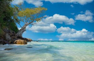 Salon ILTM : Voyage de Luxe entre Pré et Post Tours