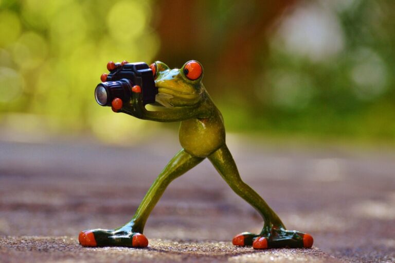 Un photographe du Jura sublime des Lego au cœur de décors naturalistes