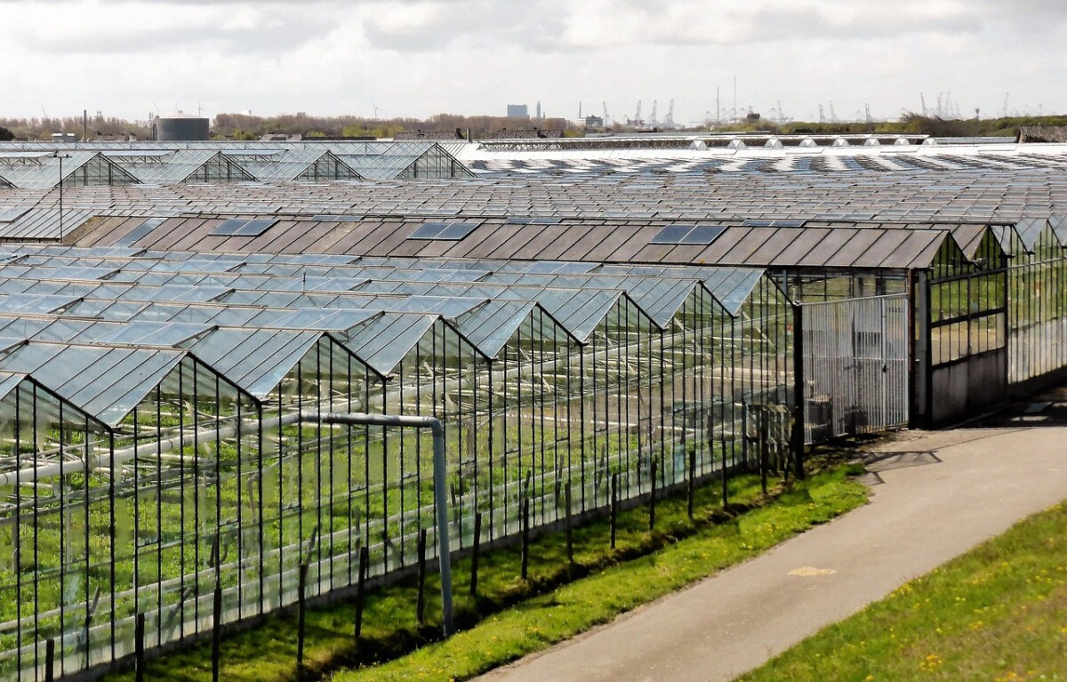 découvrez l'agriculture urbaine : des solutions innovantes pour cultiver des fruits et légumes en ville, améliorer la qualité de vie, favoriser l'écologie et renforcer la sécurité alimentaire locale.