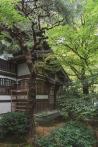 Patrimoine mondial UNESCO : Comprendre son importance et son impact mondial