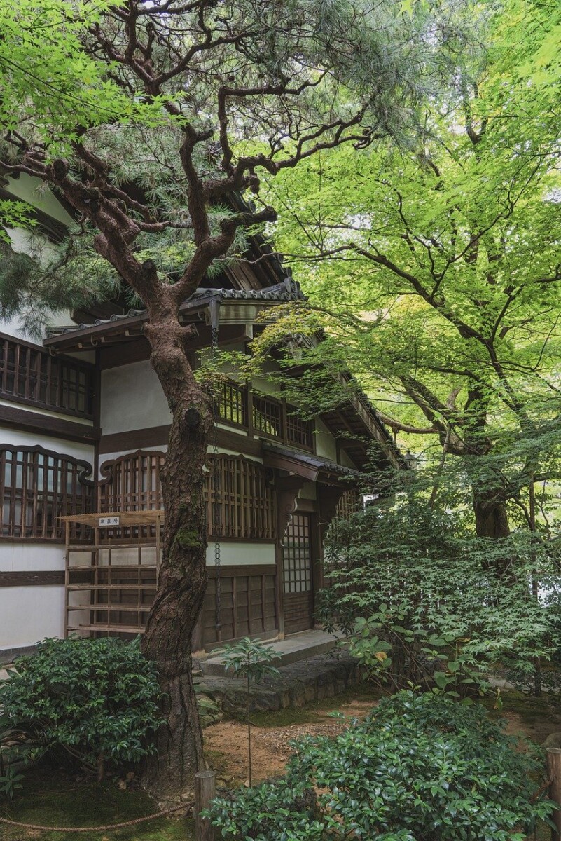 découvrez le patrimoine mondial de l'unesco, une collection exceptionnelle de sites culturels et naturels reconnus pour leur valeur universelle exceptionnelle.