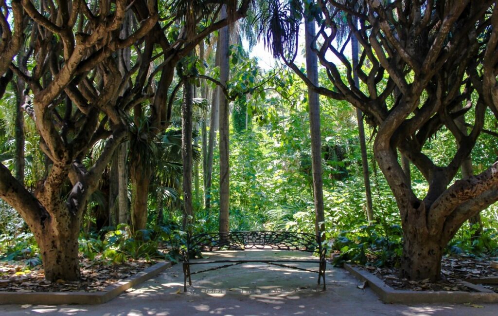 Guides pratiques et mises en garde essentielles pour un s&eacute;jour r&eacute;ussi en Alg&eacute;rie