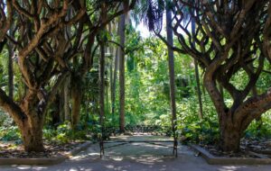 Guides pratiques et mises en garde essentielles pour un s&eacute;jour r&eacute;ussi en Alg&eacute;rie