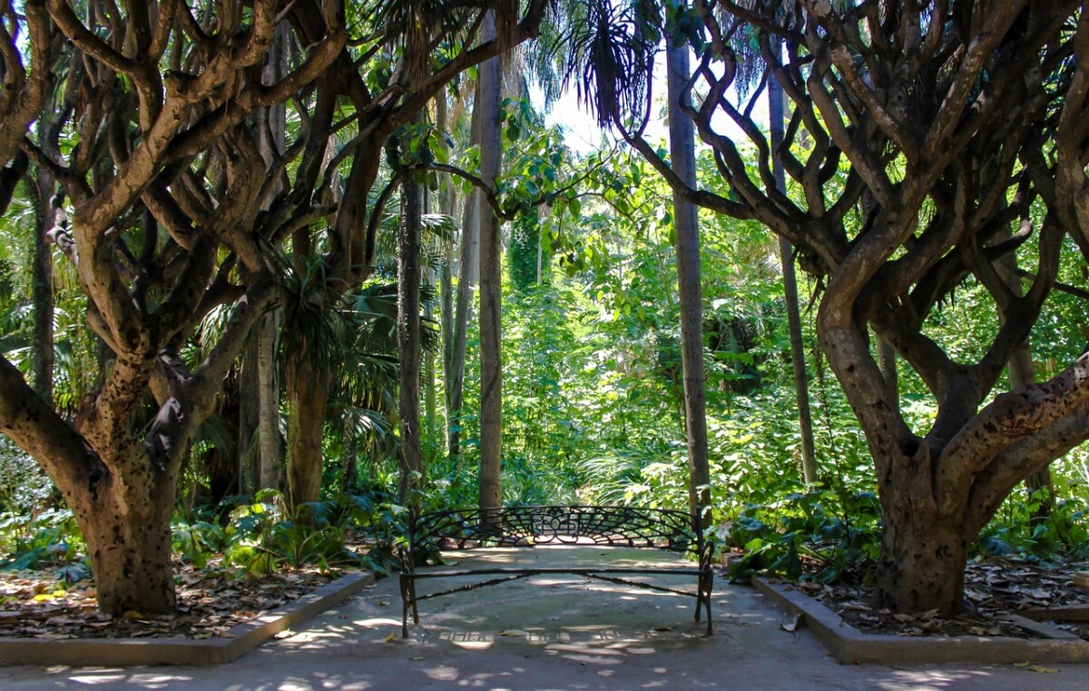 Guides pratiques et mises en garde essentielles pour un s&eacute;jour r&eacute;ussi en Alg&eacute;rie