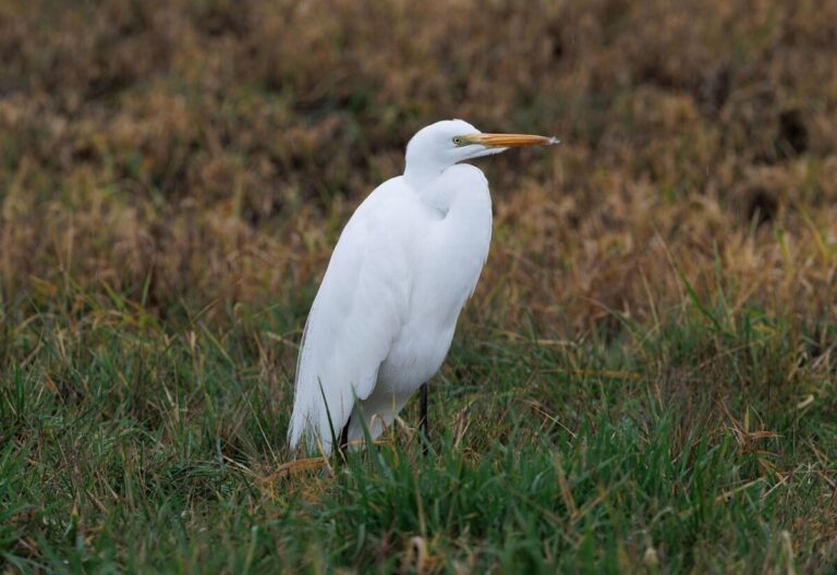 Voyager responsable : 5 engagements pour pr&eacute;server la plan&egrave;te