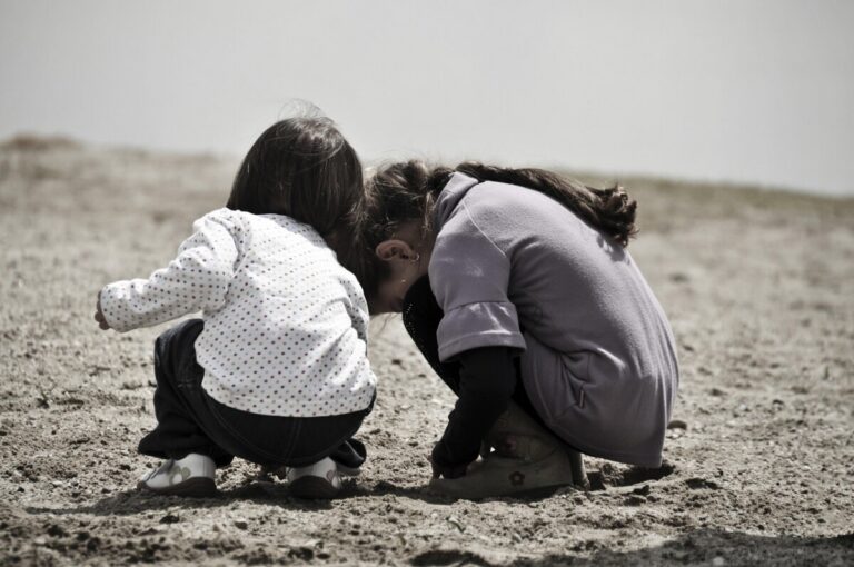 D&eacute;couvrir la gastronomie r&eacute;gionale : un voyage des sens